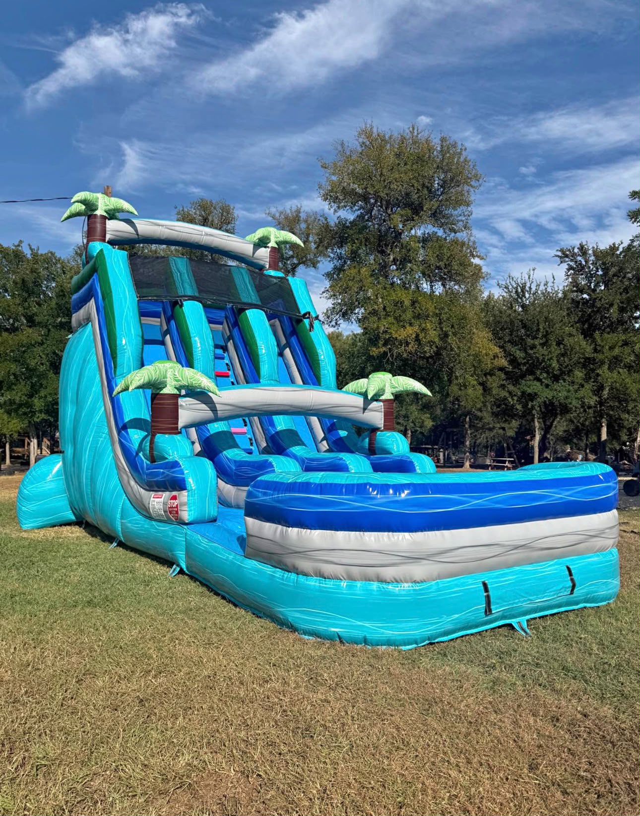 Tropical Paradise Dual Lane Waterslide